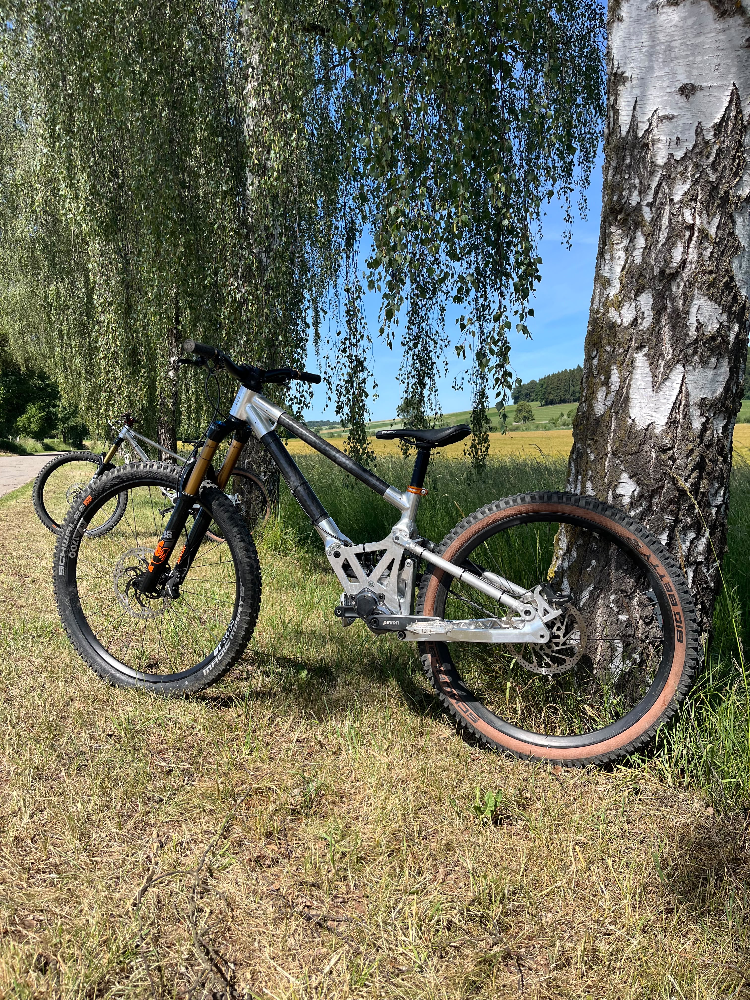 STIK MK2 Carbon Mountainbike an einer Birke